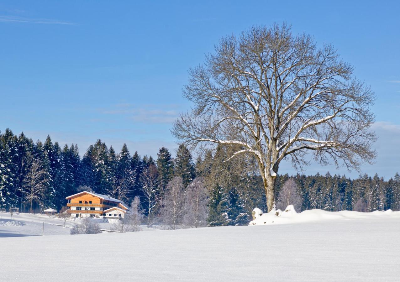 Landhotel Moorhof Neuschoenau Luaran gambar